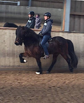 Markus Scharmann mit Thokki