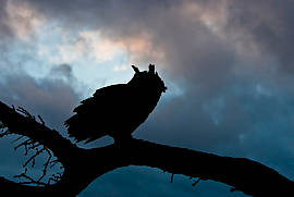 Fotoworkshop Rosl Rössner