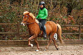 Glydrá vom Röschbacherhof