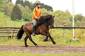 Hlynur vom Gestüt Ponsheimer Hof