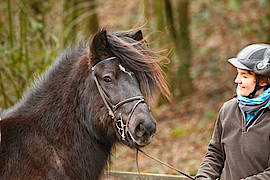 Krabat vom Gut Waldeck