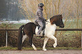 Lola vom Gut Waldeck