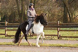 Lola vom Gut Waldeck