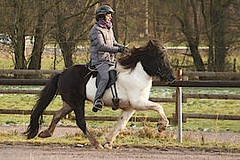 Lola vom Gut Waldeck