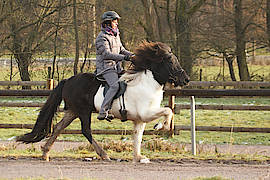 Lola vom Gut Waldeck