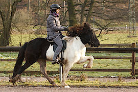 Lola vom Gut Waldeck