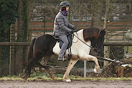 Lola vom Gut Waldeck