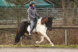 Lola vom Gut Waldeck