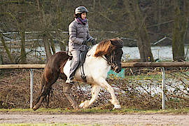 Lola vom Gut Waldeck