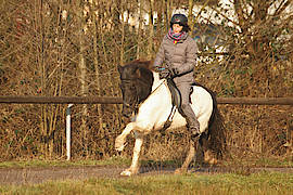 Lola vom Gut Waldeck