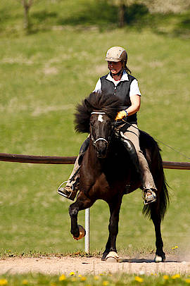 Snotra vom Gestüt Ponsheimer Hof