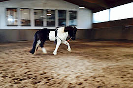 Lola darf demonstrieren