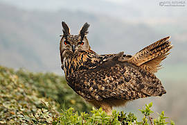 Fotoworkshop Rosl Rössner