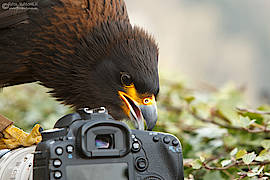 Fotoworkshop Rosl Rössner